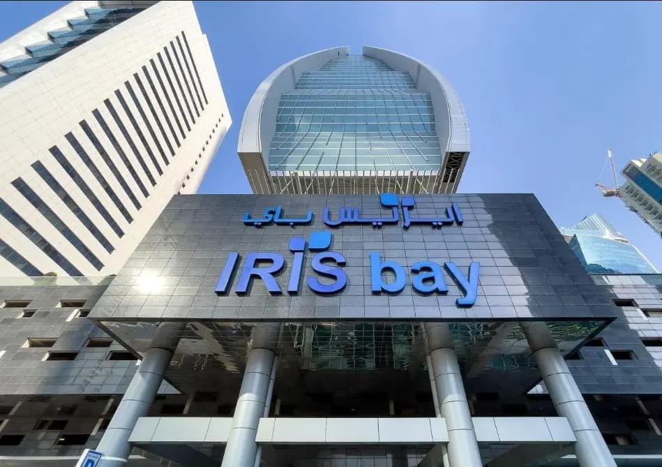 SoftBuilders Software Design LLC Iris Bay Tower
